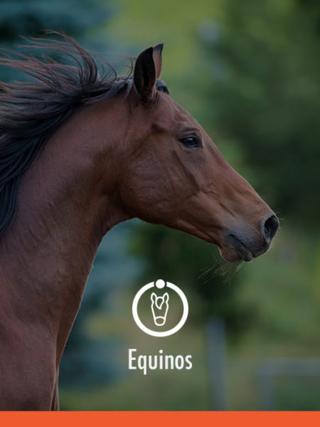 Equino agrovalue